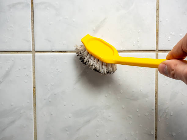 Best Mold Removal Process  in Long Creek, IL