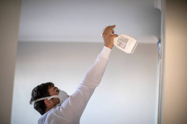 Best Emergency Mold Removal  in Long Creek, IL