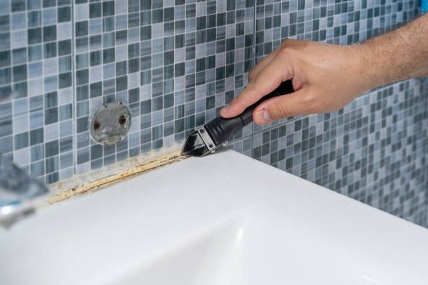 Best Mold Testing  in Long Creek, IL
