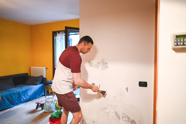 Best Local Mold Removal Service  in Long Creek, IL